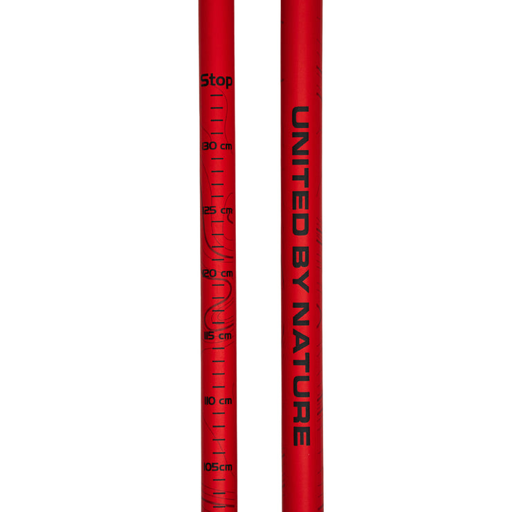 Ridgeline Carbon - Trekking Poles